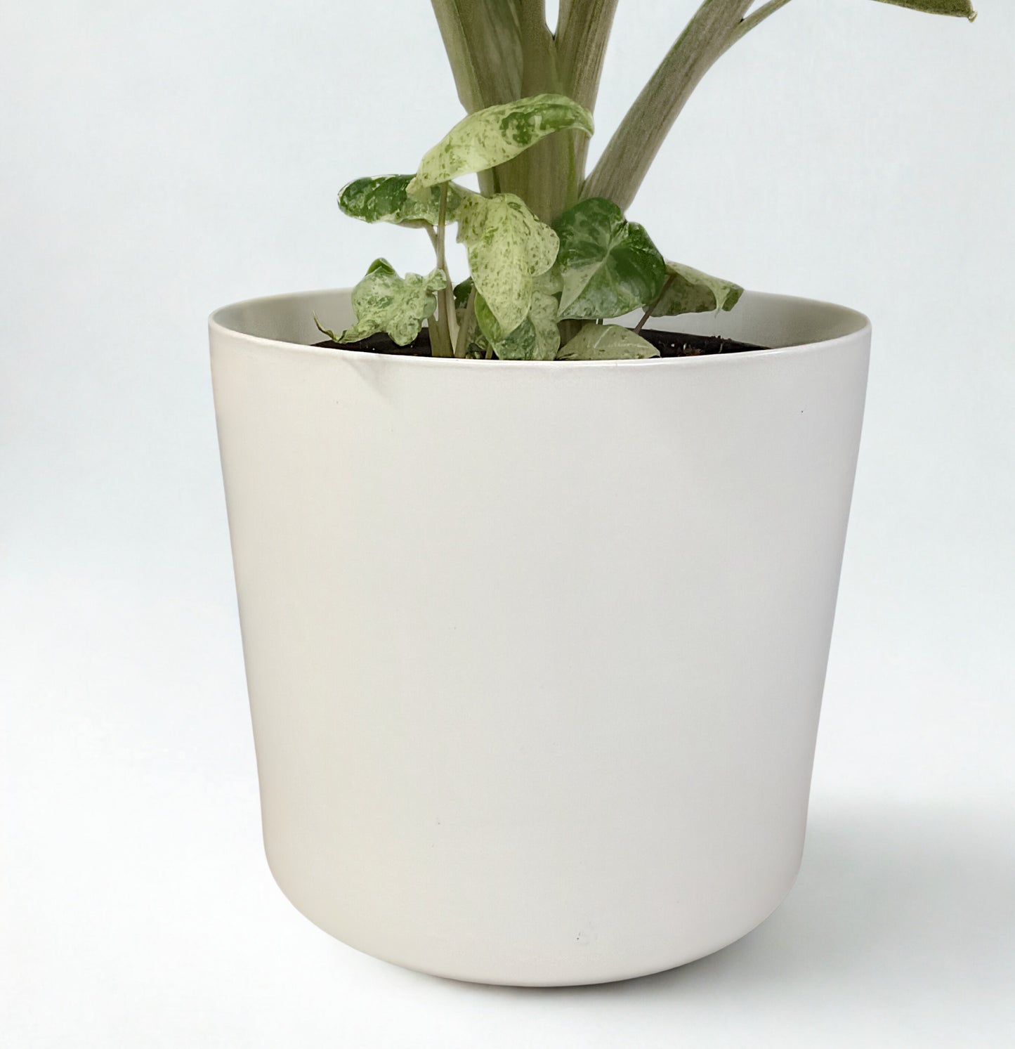 Pot Céramique Essentielle
