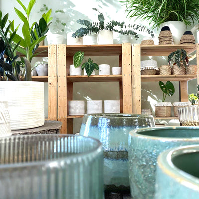 Accessoires horticoles – Pots, terreaux et engrais