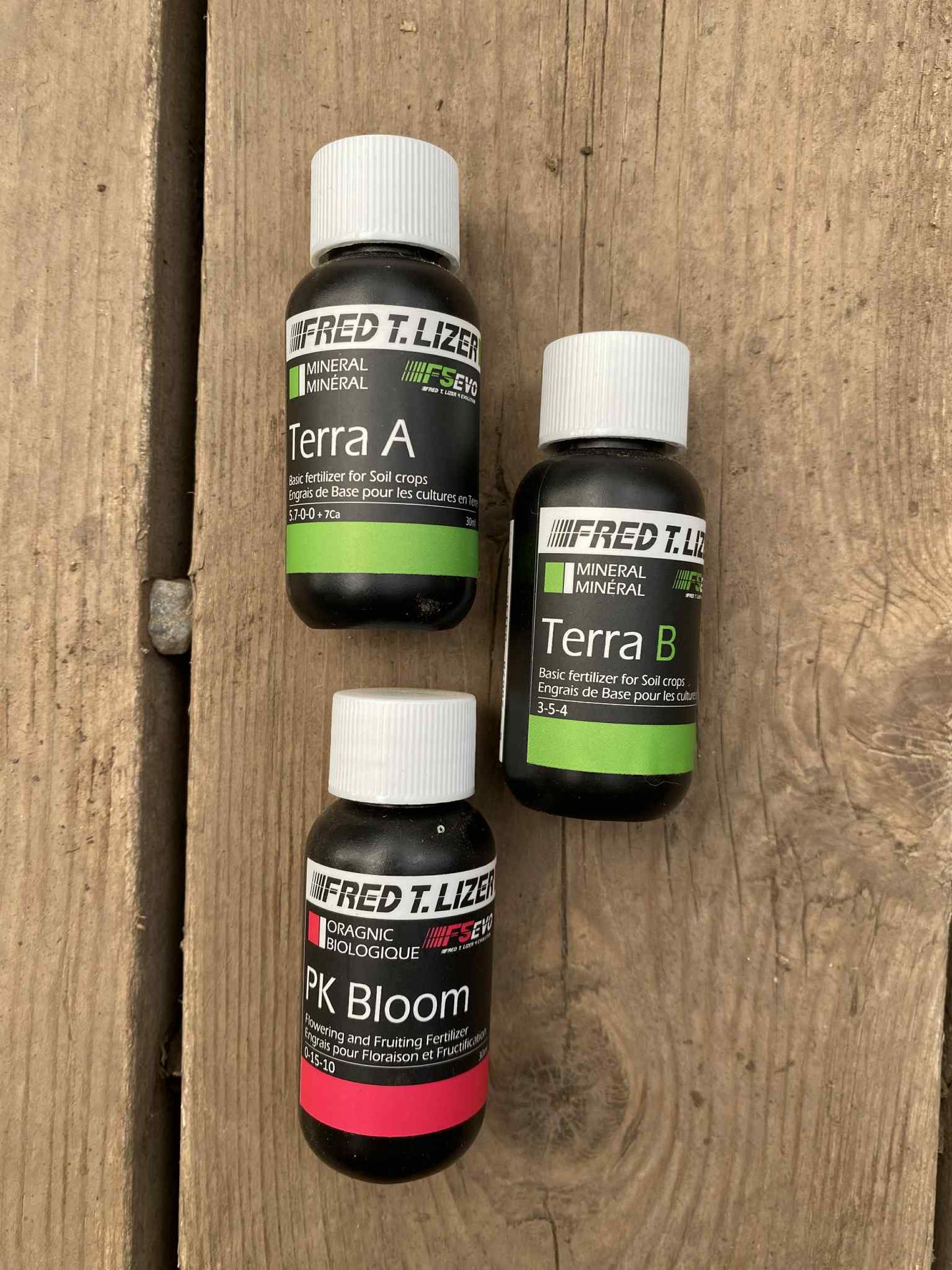 Kits Essentiel Fred.T.Lizer