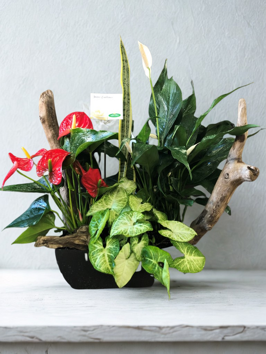 Jardin Fleuri