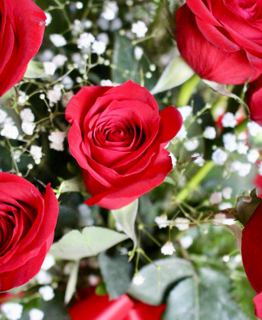 Bouquet- Roses Rouges