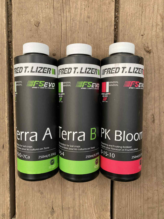 Kits Essentiel Fred.T.Lizer