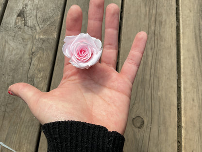 Mini roses éternelles