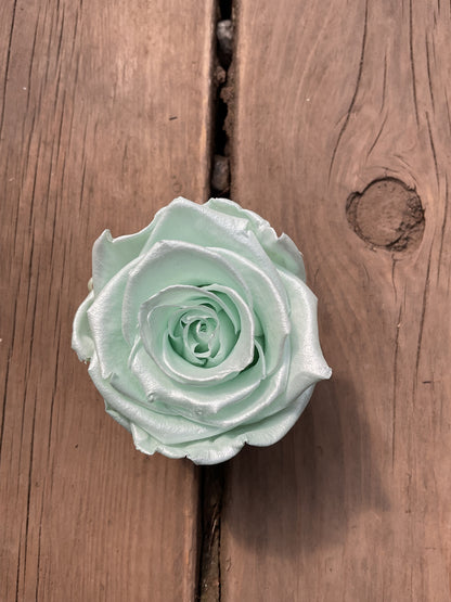 Rose Éternelle Format Moyen