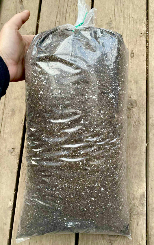 Terreau Maison Tout Usage