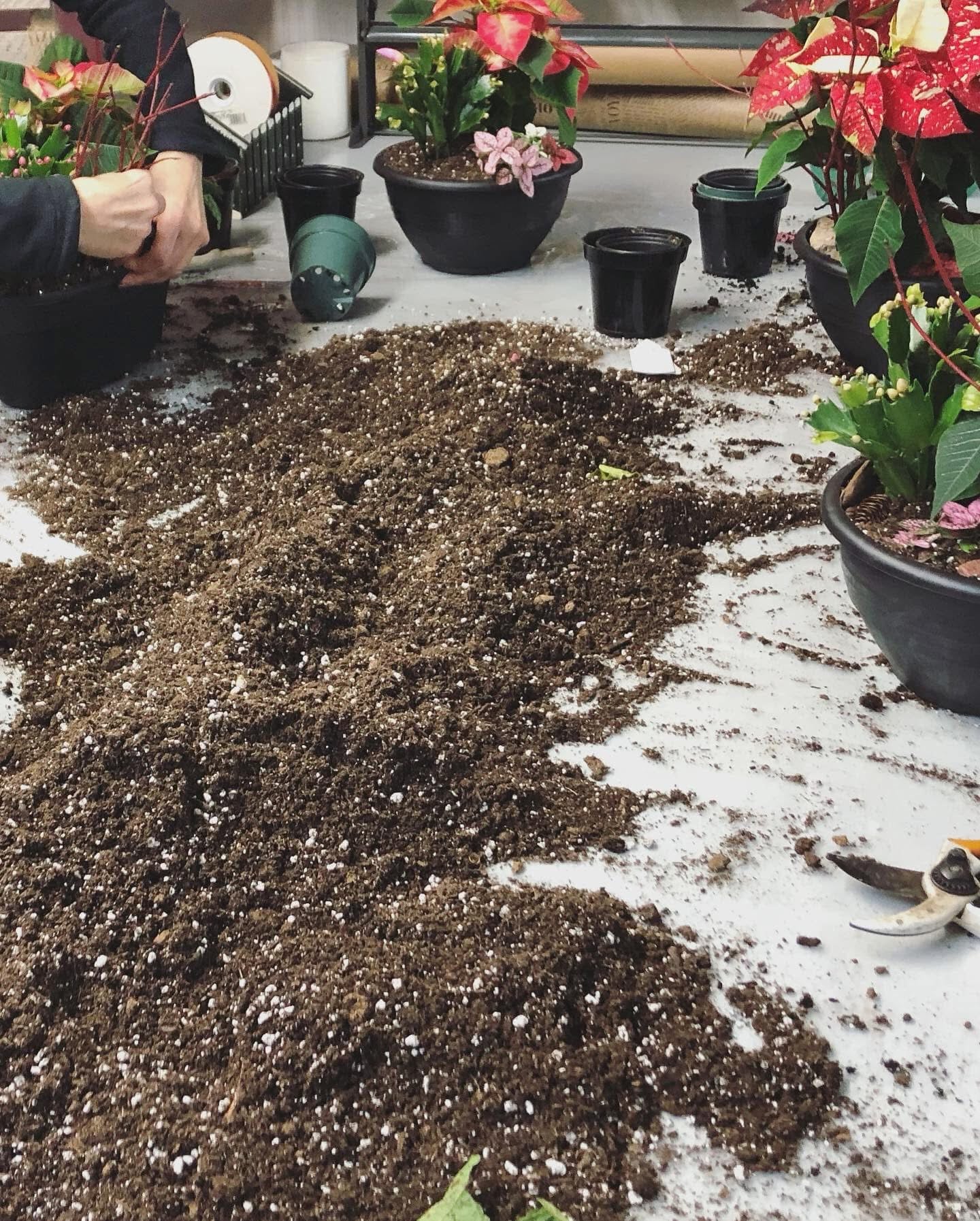 Terreau Maison Tout Usage