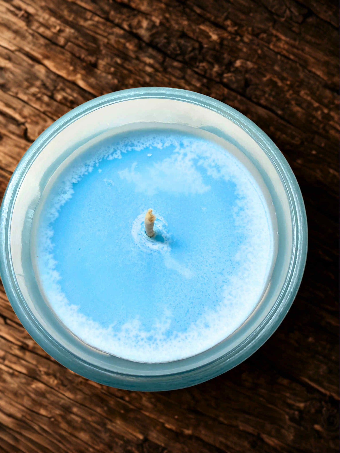 Chandelle Eucalyptus-Maritza Roy