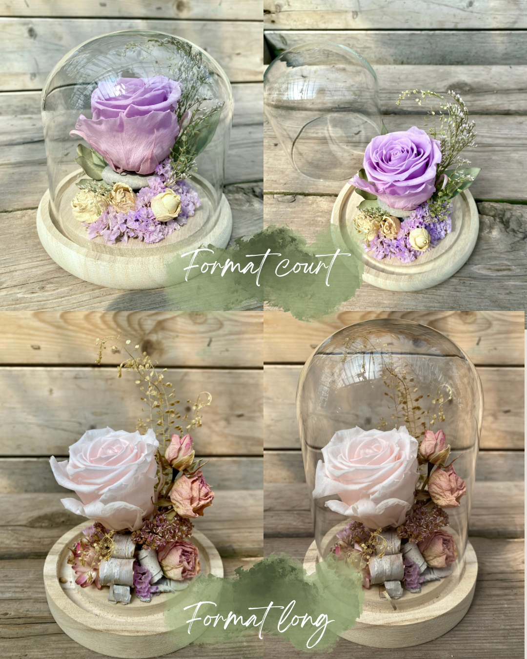Rose éternelle grand format-court