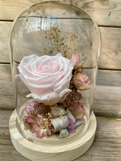 Rose Éternelle Format Moyen