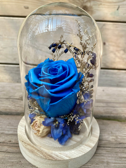Rose eternelle bleue